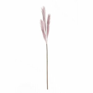 Dekoria Pampová tráva 100cm lilac, 2 x 2 x 100 cm