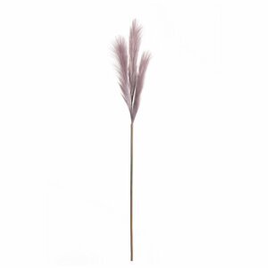 Dekoria Pampová tráva 100cm light violet, 2 x 2 x 100 cm
