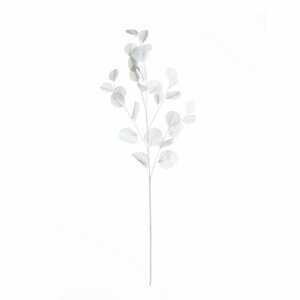 Dekoria Eukalyptová vetvička 90cm white, 10 x 10 x 90 cm