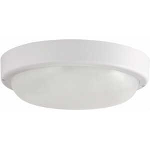 LED stropné svietidlo biele - 15W - studená biela