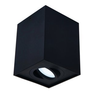 Podhľadové bodové svietidlo 6685 výklopné čierna - biela - 115mm