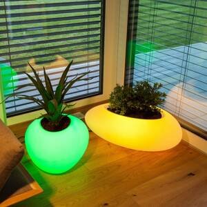 Deko lampa Storus VII LED RGBW, rastlinná biela