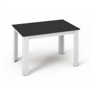 TEMPO KONDELA Kraz jedálenský stôl 120x80 cm biela / čierna