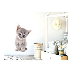 Nálepka na stenu - zvieratká - mačiatko veľkosť: malá