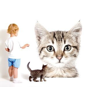 Samolepka na stenu - mačička veľkosť: S, laminát: matný