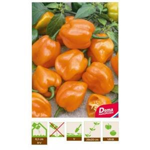 Kinekus Chilli Paprika – Habanero Orange